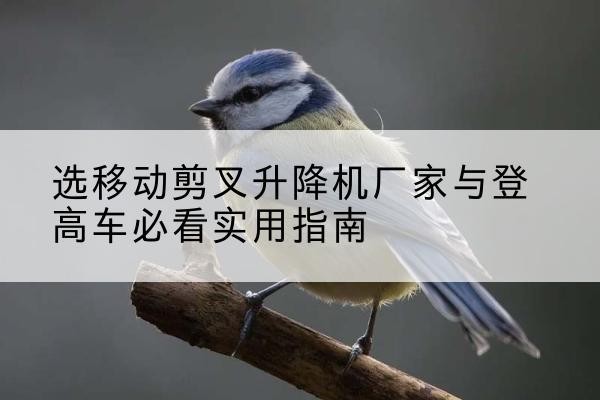内丘电动升降机厂家-选移动剪叉升降机厂家与登高车必看实用指南