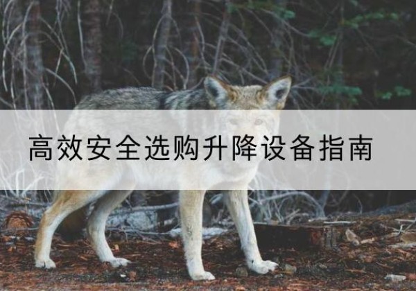 内丘升降货梯厂家推荐-*安全选购升降设备指南